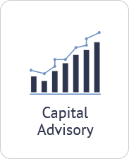 Click to learn more about Capital Advisory